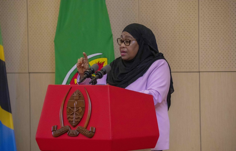 President Samia Suluhu Hassan - DP World Deal