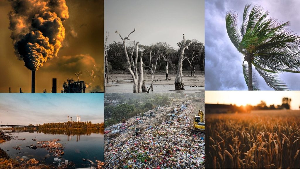 Climate Adaptation Strategies