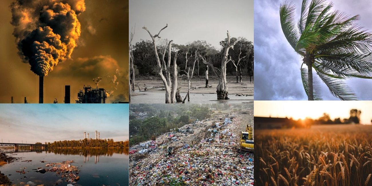 Climate Adaptation Strategies