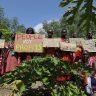 Climate Action