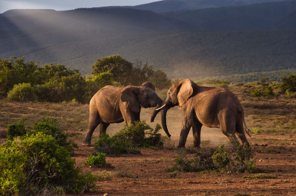 Tanzania's Southern Circuit
