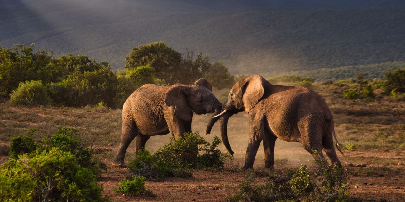 Tanzania's Southern Circuit