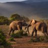Tanzania's Southern Circuit