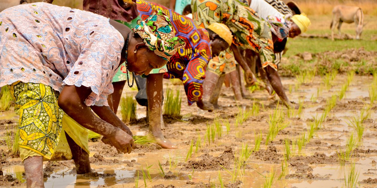 Agriculture