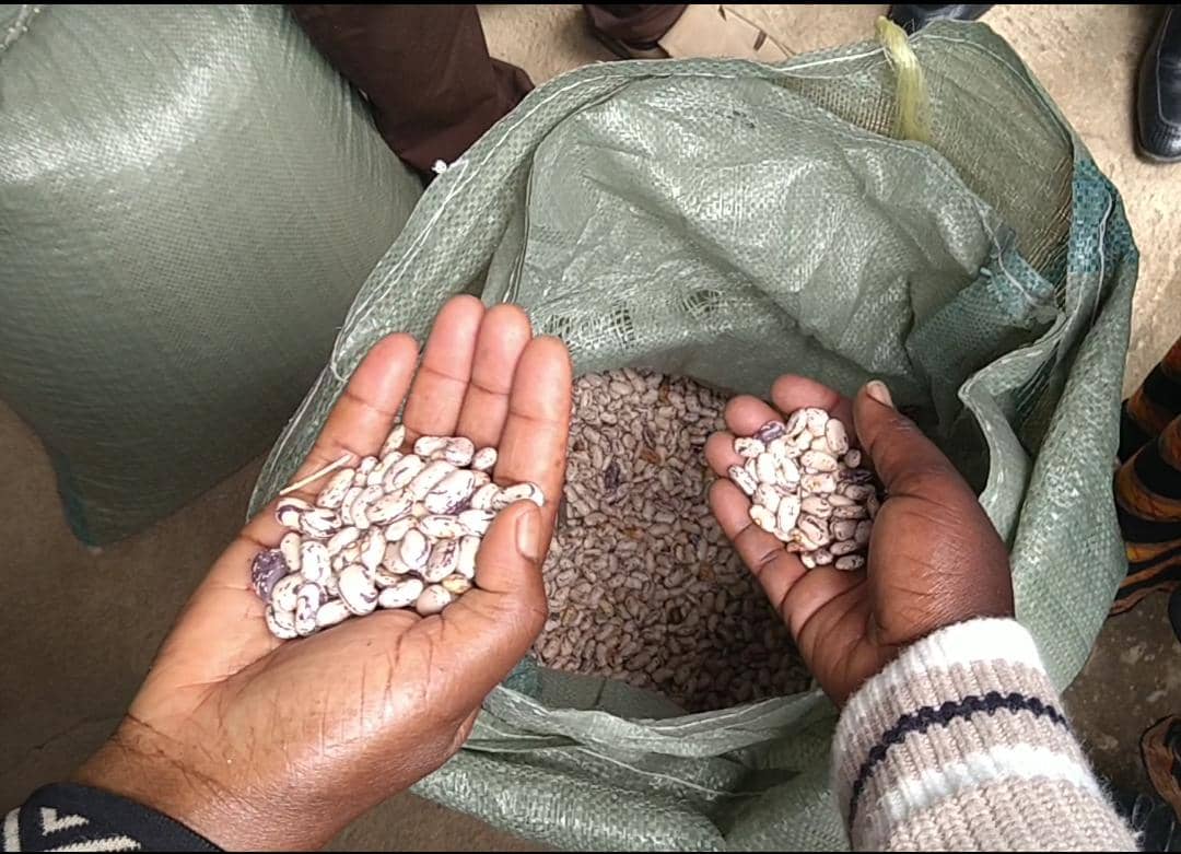 farming against malnutrition