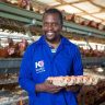 Koudijs Offers Hope to Livestock Keepers in Tanzania with innovative, science-based feed solutions that boost productivity.