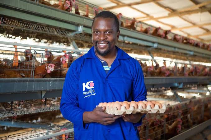 Koudijs Offers Hope to Livestock Keepers in Tanzania with innovative, science-based feed solutions that boost productivity.