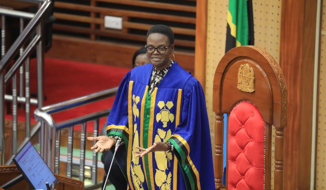 Tulia Ackson's 2030 presidency