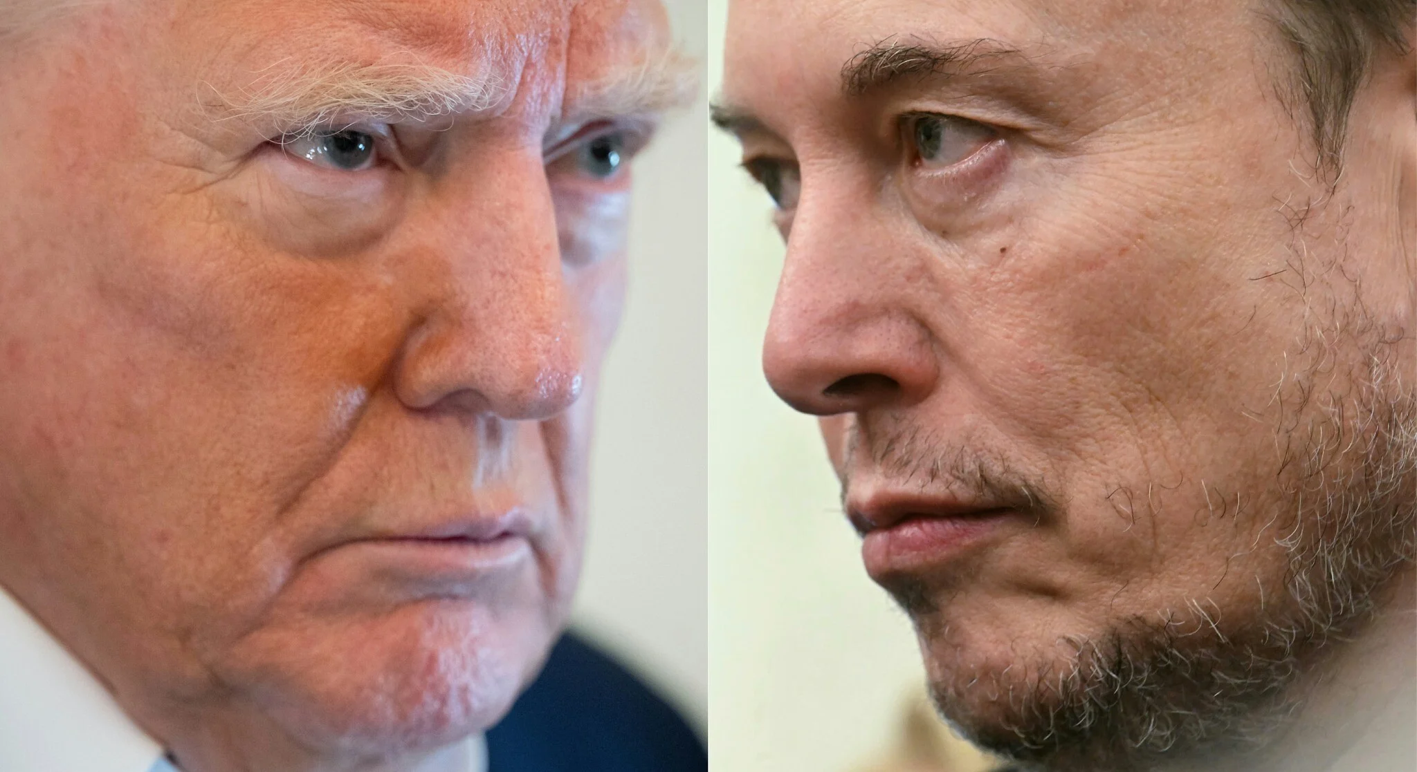 Trump–Musk Feud