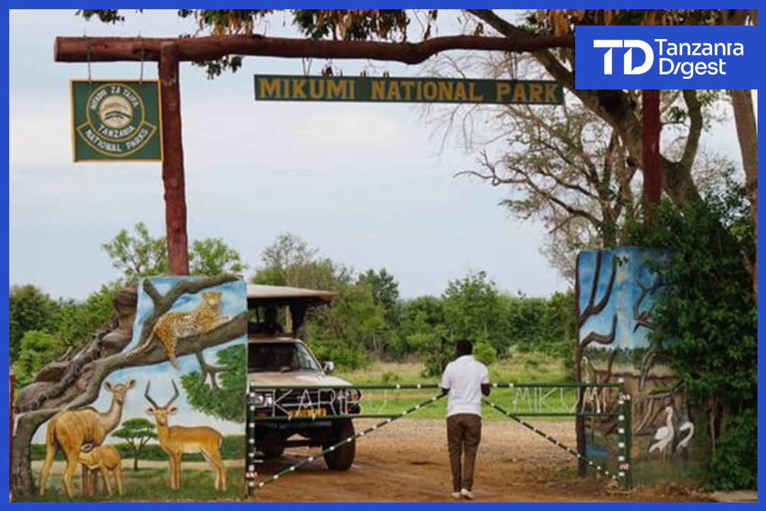 Domestic Tourism