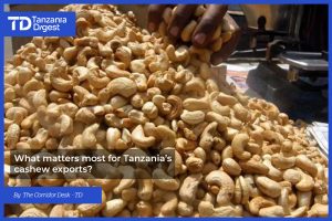 Southern Tanzania’s Exports