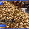 Southern Tanzania’s Exports